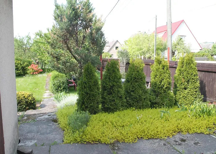 Roheline Vaikus Pärnu